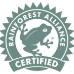 rainforest-banner