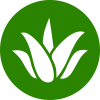 ekhylisma-alois-icon